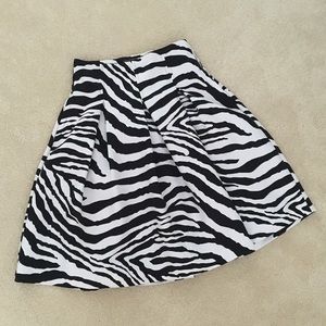 Express skirt